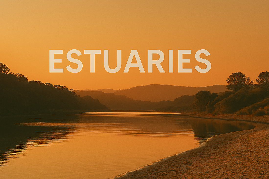 Estuaries
