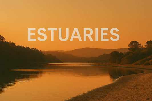 Estuaries